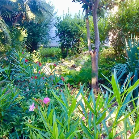 Bed & Breakfast Casa Laura