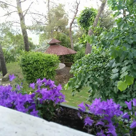 Casa Laura B&B