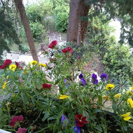 Casa Laura B&B Castignano