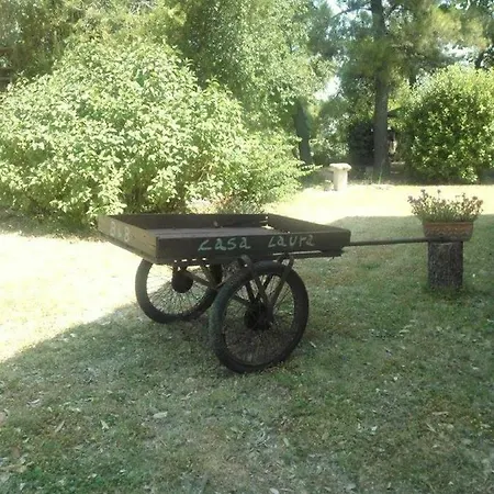 Casa Laura Bed and Breakfast Castignano