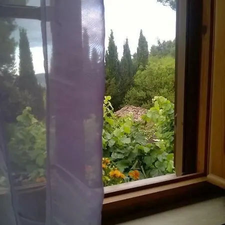 Casa Laura Bed & Breakfast *