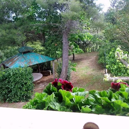 Bed & Breakfast Casa Laura *