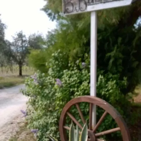 Casa Laura Castignano