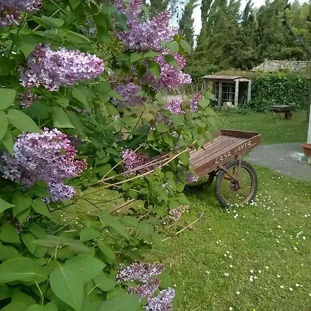 Casa Laura Frühstückspension Castignano