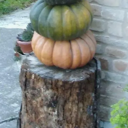 Casa Laura * Castignano