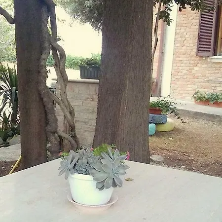 Casa Laura Bed & Breakfast Castignano