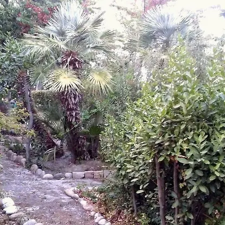 Bed & Breakfast Casa Laura Castignano